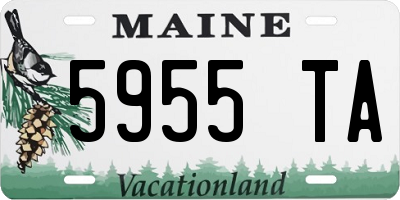 ME license plate 5955TA