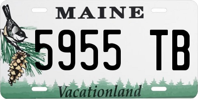 ME license plate 5955TB