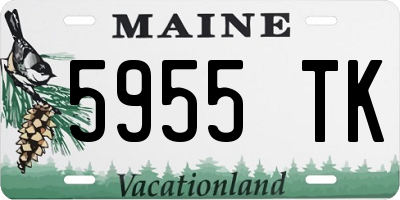 ME license plate 5955TK