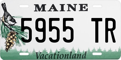 ME license plate 5955TR