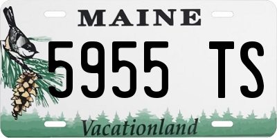 ME license plate 5955TS