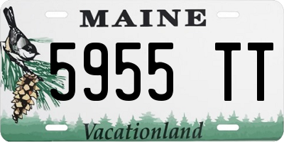 ME license plate 5955TT