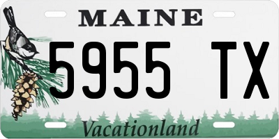 ME license plate 5955TX