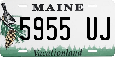 ME license plate 5955UJ