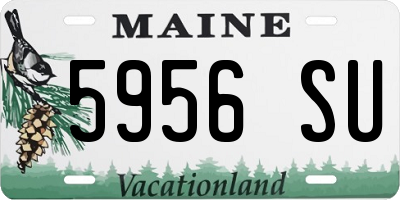 ME license plate 5956SU