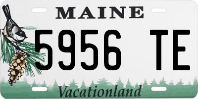 ME license plate 5956TE