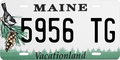 ME license plate 5956TG