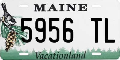 ME license plate 5956TL