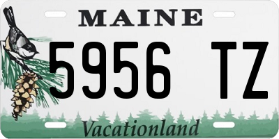 ME license plate 5956TZ