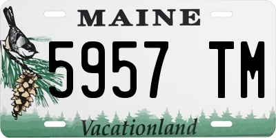 ME license plate 5957TM