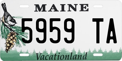 ME license plate 5959TA