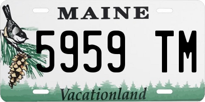 ME license plate 5959TM