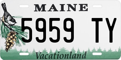 ME license plate 5959TY