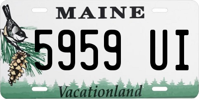 ME license plate 5959UI