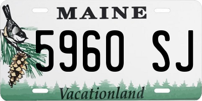 ME license plate 5960SJ