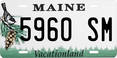 ME license plate 5960SM