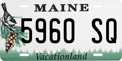 ME license plate 5960SQ