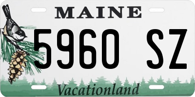 ME license plate 5960SZ