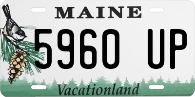 ME license plate 5960UP