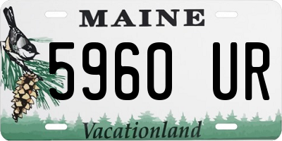 ME license plate 5960UR