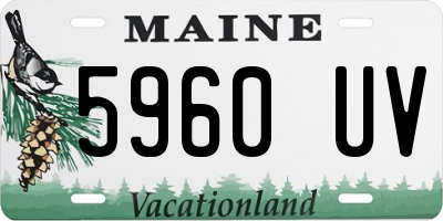 ME license plate 5960UV