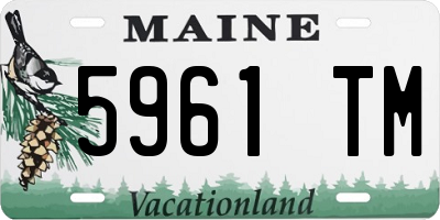 ME license plate 5961TM