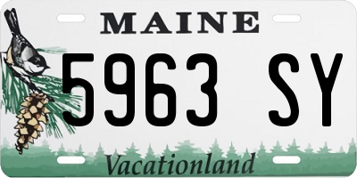 ME license plate 5963SY