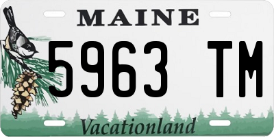 ME license plate 5963TM