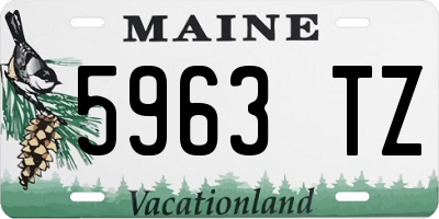 ME license plate 5963TZ