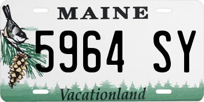 ME license plate 5964SY