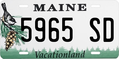 ME license plate 5965SD