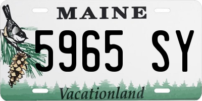 ME license plate 5965SY