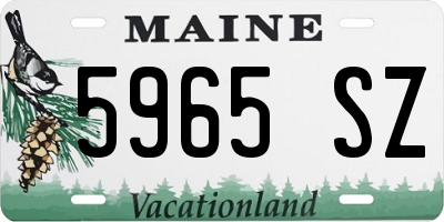 ME license plate 5965SZ
