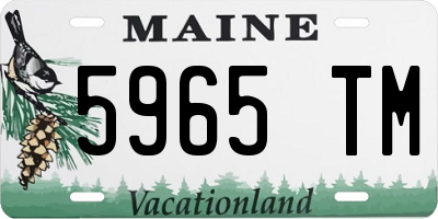 ME license plate 5965TM