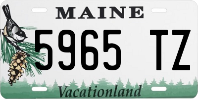 ME license plate 5965TZ