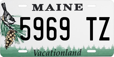 ME license plate 5969TZ