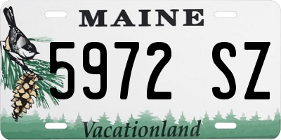 ME license plate 5972SZ