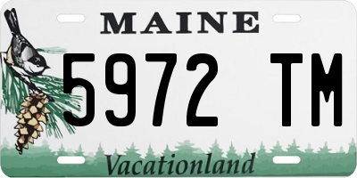 ME license plate 5972TM