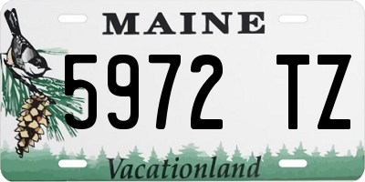 ME license plate 5972TZ