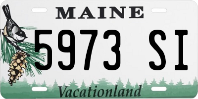 ME license plate 5973SI