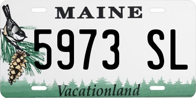 ME license plate 5973SL