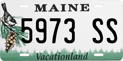 ME license plate 5973SS