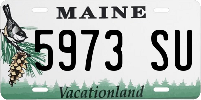 ME license plate 5973SU