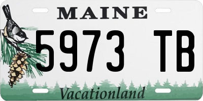 ME license plate 5973TB