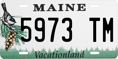 ME license plate 5973TM