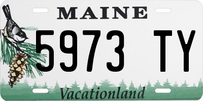 ME license plate 5973TY