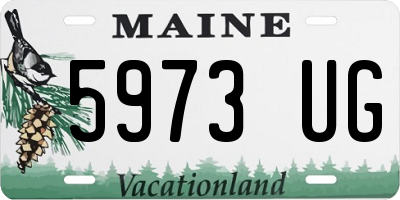 ME license plate 5973UG