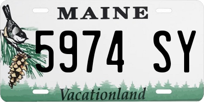 ME license plate 5974SY