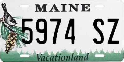 ME license plate 5974SZ