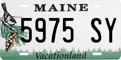ME license plate 5975SY